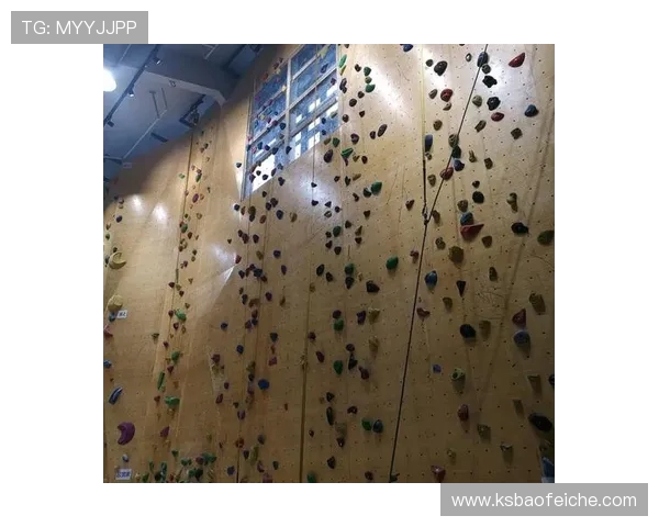 南京攀岩队战术解析：如何在比赛中运用阵地战策略提升胜率